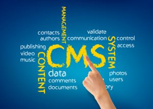 Best CMS Websites