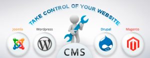 CMS-compulsory part of how to create blog