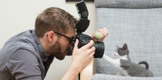 Tips for taking pictures of wonderful moments of your cat like a PRO