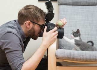 Tips for taking pictures of wonderful moments of your cat like a PRO