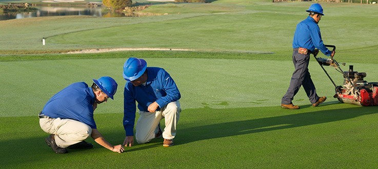 Golf Course Conditions Few Tips to Make Your Golf Course That Stands Out