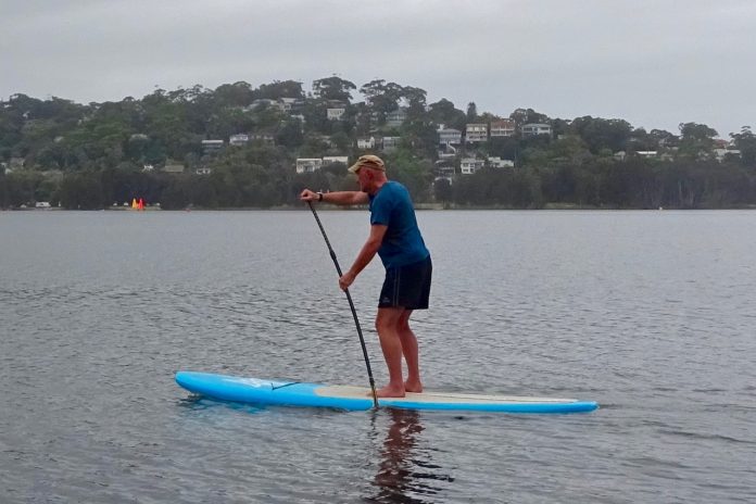 Greenland kayak paddle