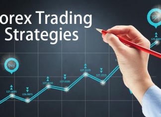 Forex trading tips and market analysis